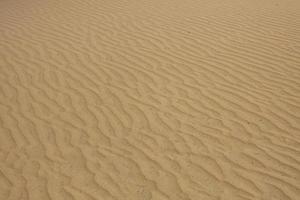 dunas de gran canaria - desierto de arena de maspalomas, españa foto