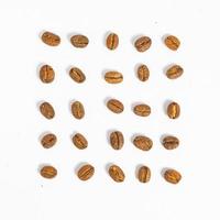 coffee beans laid out in several rows on a white background. photo