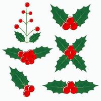 Christmas holly berry collection elements. Twigs of holly with berries and leaves. vector