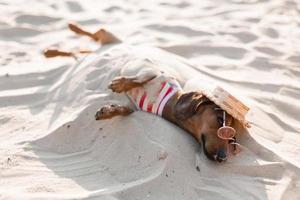 Dachshund enano con un mono de perro a rayas y una gorra roja está tomando el sol en una playa de arena. perro viajero, blogger, travelblogger. perro disfruta de un paseo al aire libre al aire libre. foto de alta calidad