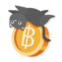 cat and coin cartoon png