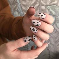 Female manicure with leopard design photo