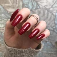 Stylish trendy red female manicure.Hands of a woman with red manicure on nails photo