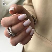 French manicure on the nails. French manicure design. Manicure gel nail polish photo