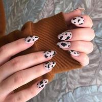Female manicure with leopard design photo