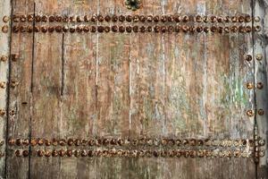 Texture of old wood, texture of a wooden door with a natural pattern. background. photo