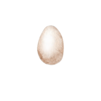 huevos de granja de acuarela png