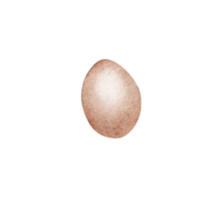 huevos de granja de acuarela png