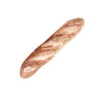 Watercolor bakery bread png