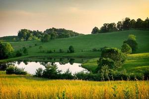 tarde en el campo foto