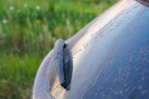 Dirty car glass with wiper and third brake light, rear window covered with a layer of dust. photo