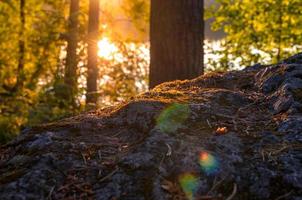 photo of a stone in the sunset rays breaking through the trees