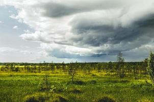 Low storm clouds filling the sky over a swampy area in a forest photo