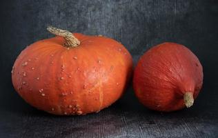 Two Hokkaido pumpkins of different sizes lie side by side against a gray background. The pumpkins glow orange. photo