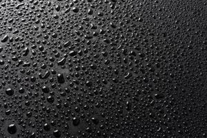close-up view of water drops on black hydrophobic surface macro sith selective cous and background blur photo