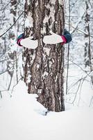 Hugging trees in winter forest, unity with nature, hands holding tree trunk, snowy weather, vertical shot photo