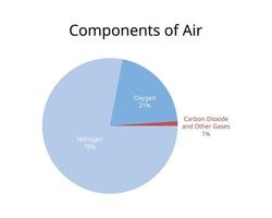 componentes del aire con oxígeno, nitrógeno y otros gases vector