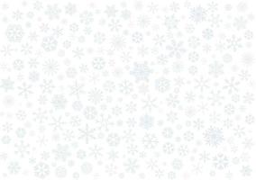 Various snowflakes on white background. vector