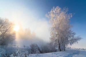 foggy winter riverside at morning with sun shine between birch trees - horizontal frame photo