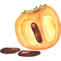 caqui aquarela com sementes, fruta caqui png