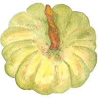 citrouille dessinée à la main aquarelle png