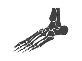 foot bones  black and white human skeleton bone foot vector