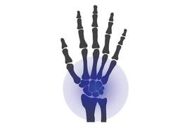 hand bones  black and white human skeleton bone hands vector