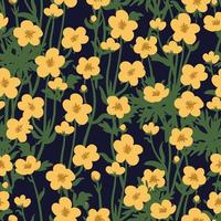 Buttercups vector seamless pattern. Summer yellow wildflowers floral background.