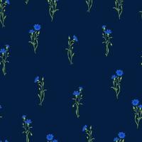 patrón transparente de vector de campo de aciano. flor de pradera silvestre de verano, textura de planta de miel. fondo azul mala hierba. diseño floral botánico de centaurea para textiles, telas, envolturas