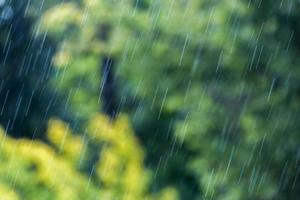 lluvia a la luz del día soleada en el fondo del bosque verde borroso foto