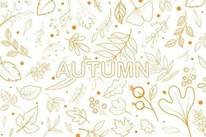 Outline Autumn leaves background. Fall leaf line art patterned vector. vector