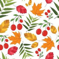 Fall pattern with autumn seasonal leaves vector