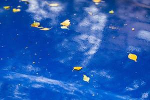wet sapphire blue car surface at autumn rainy day with yellow birch leaves - selective focus with blur closeup photo
