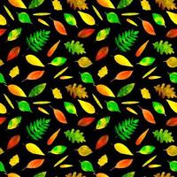 Seamless pattern watercolor colorful autumn leaves on a black vector