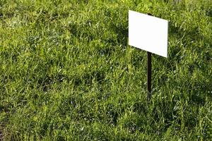 blank white sign mockup on green lawn background - close-up with selective focus photo