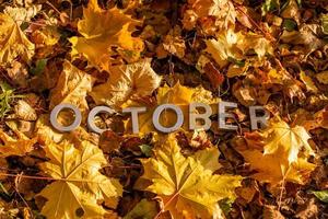 la palabra octubre puesta con letras de metal plateado en el suelo hojas de arce secas foto