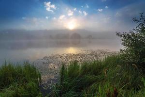 foggy riverside at summer sunrise with tall grass photo