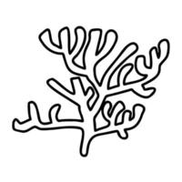 Underwater algae. Seaweed. Ocean doodle hand drawn vector illustration isolated on white.