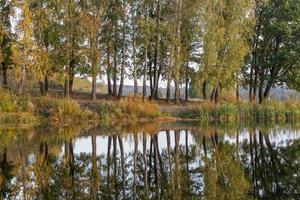 árboles matutinos otoñales en la pequeña orilla del lago con reflejos en la superficie del agua quieta foto