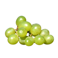 recorte de uva png
