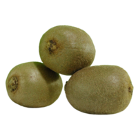 Kiwi-Frucht-Ausschnitt png