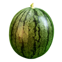 Wassermelonen-Fruchtausschnitt png