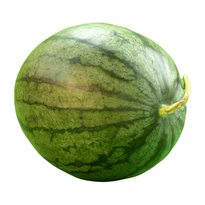 Melon PNGs for Free Download