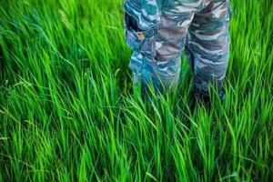 pantalones de camuflaje en hierba alta foto