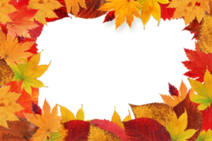 herfst bladeren uitknippen png