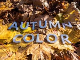 the words autumn color laid with metal letters over yellow autumn fallen leaves - closeup with selective focus photo