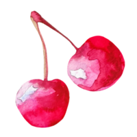 ilustração em aquarela de cereja png