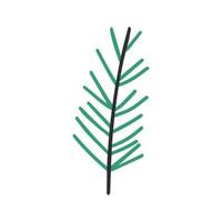 WHand drawn line coniferous tree branches and pine cones vector