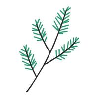 Hand drawn line coniferous tree branches and pine cones vector