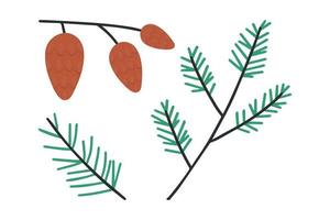 Winter pine cones. Hand drawn line coniferous tree branches and pine cones vector